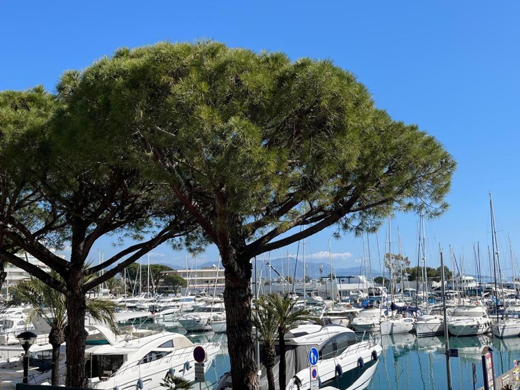 4 Pers , 100M De La Plage Marina Baie Des Anges French Riviera Villeneuve-Loubet Esterno foto